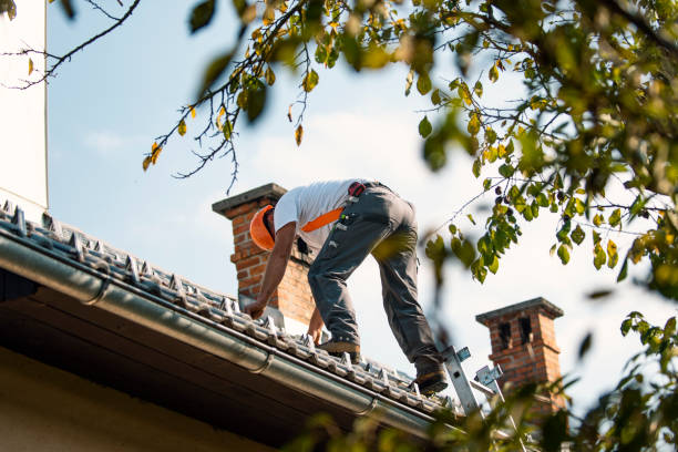 Best Metal Roofing Contractor  in Coal City, WV