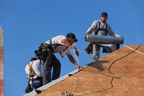 Best Roof Maintenance Services  in Coal City, WV